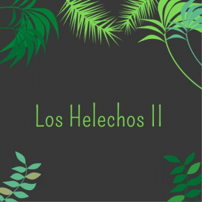 LOS HELECHOS II